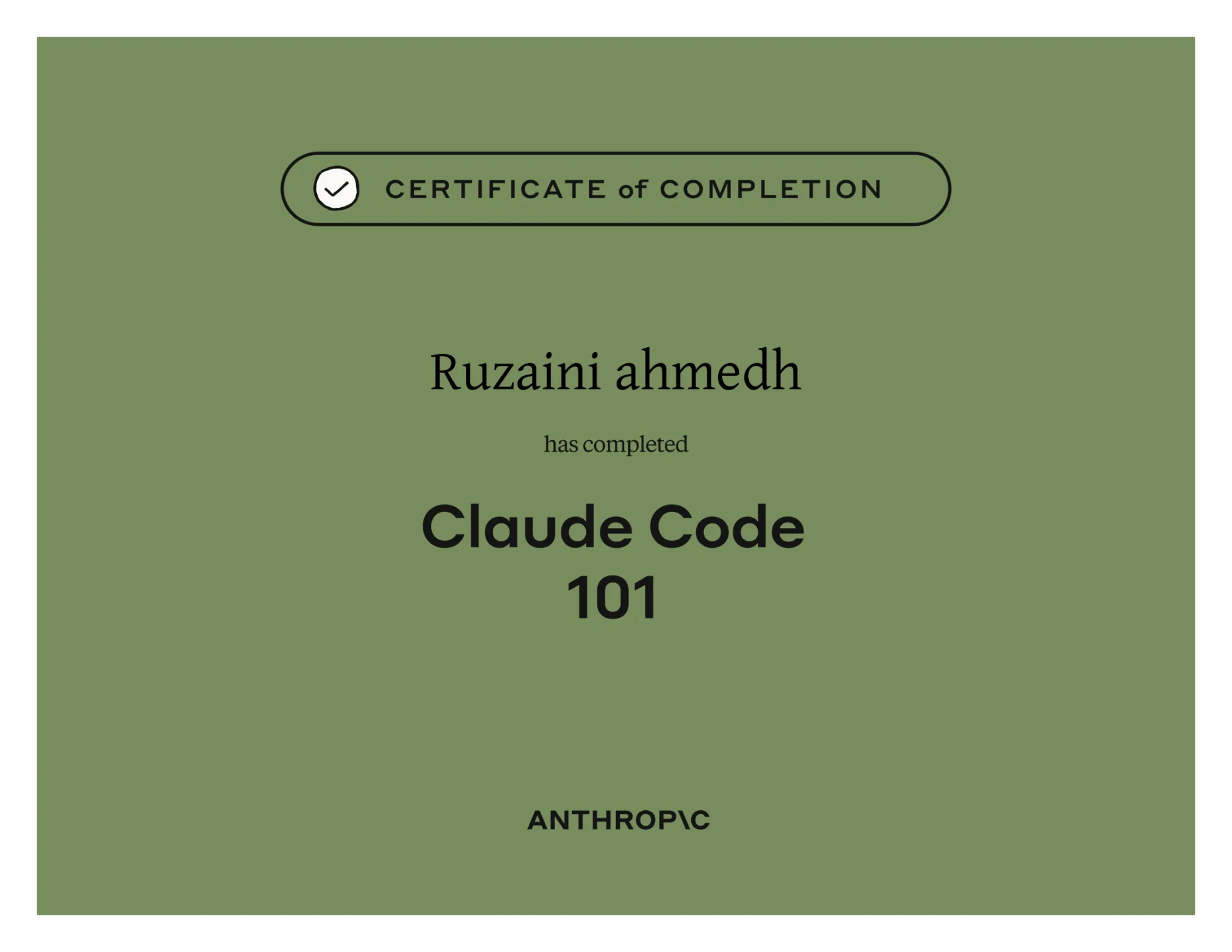 Claude Code 101